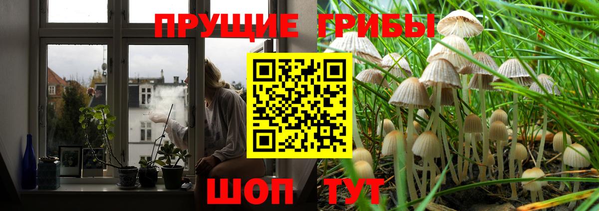 Псилоцибиновые грибы Magic Shrooms Чайковский