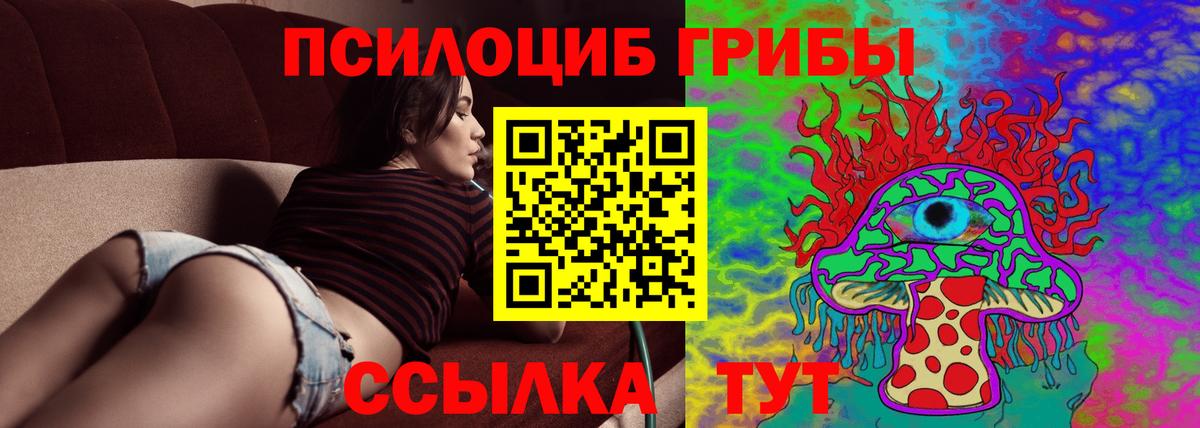 Чайковский  Псилоцибиновые грибы Magic Shrooms  купить  цена  Вход с VPN 